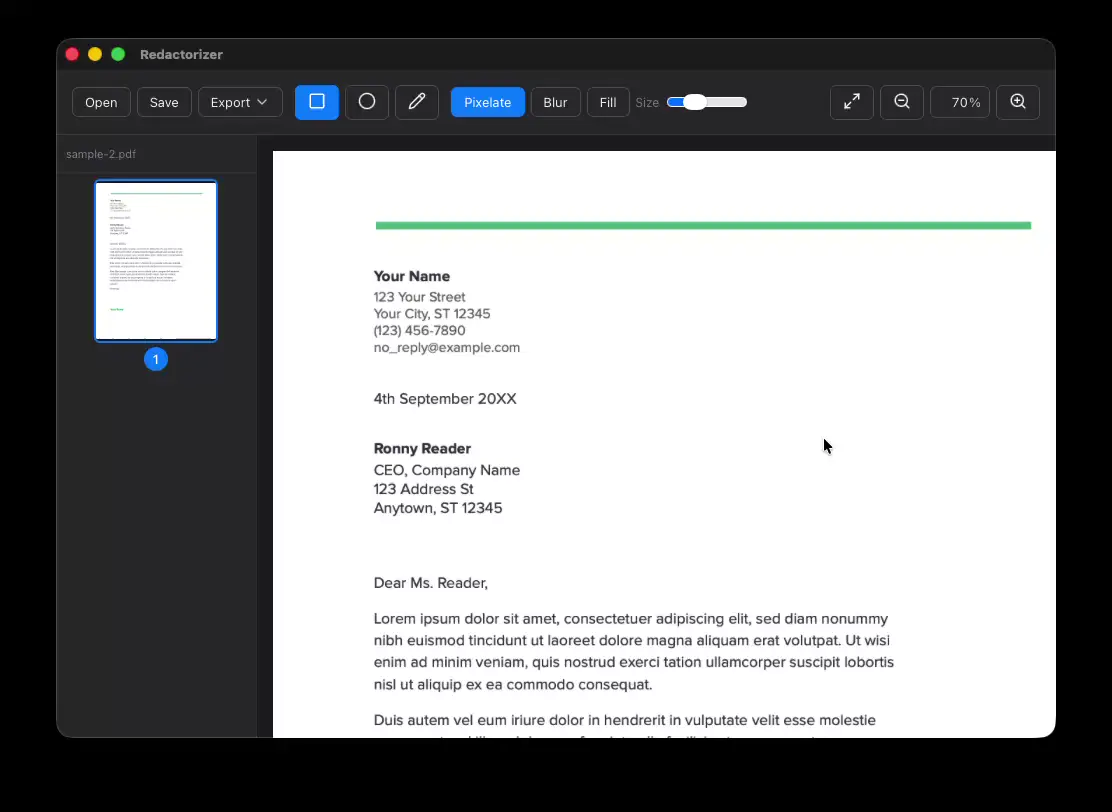 Redactorizer redaction workflow preview